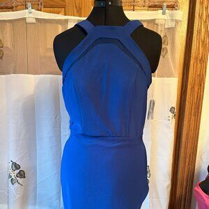 Royal Blue NWT